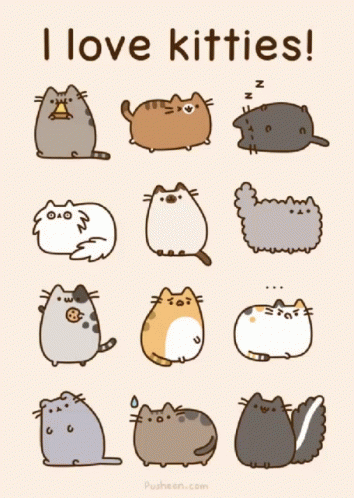 A Poster That Says ' I Love Kitties ' On The Top GIF