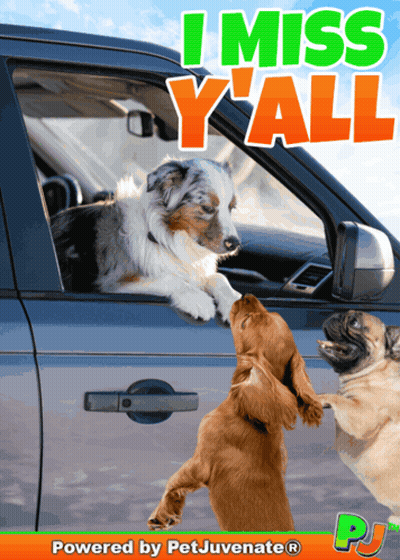 A Poster That Says I Miss Y'all On The Top GIF