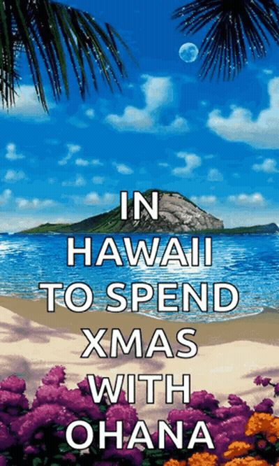 A Poster That Says " In Hawaii To Spend Xmas With Ohana " On It GIF