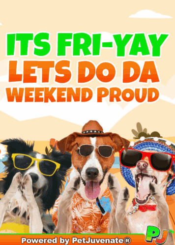 A Poster That Says It 'S Fri-Yay Lets Do Da Weekend Proud With Three Dogs Wearing Sunglasses GIF