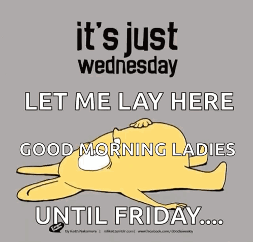 A Poster That Says It 'S Just Wednesday Let Me Lay Here Good Morning Ladies Until Friday .. GIF