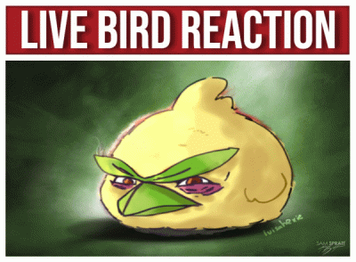 Live Bird Reaction Poster With Yellow Bird GIF