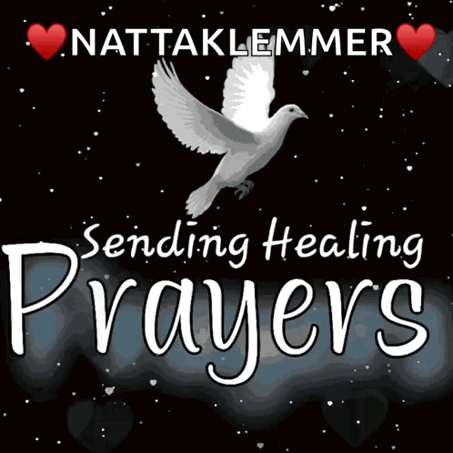A Poster That Says Nattaklemmer Sending Healing Prayers With A Dove GIF