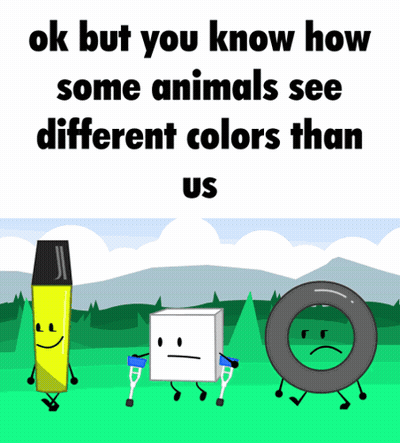 A Poster That Says Ok But You Know How Some Animals See Different Colors Than Us On It GIF