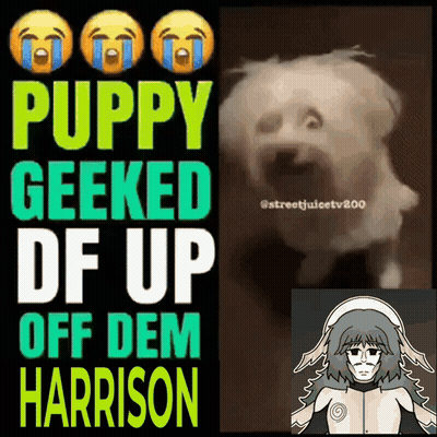 A Poster That Says Puppy Geeked Df Up Off Dem Harrison On It GIF