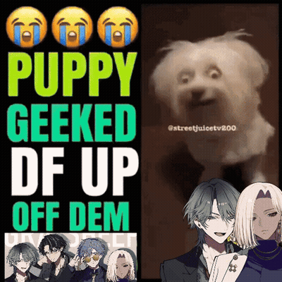 A Poster That Says " Puppy Geeked Df Up Off Dem " On It GIF