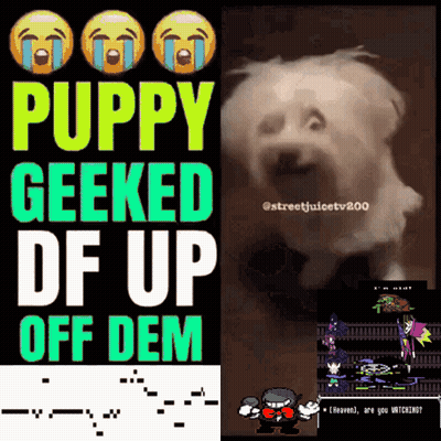 A Poster That Says " Puppy Geeked Df Up Off Dem " On It GIF