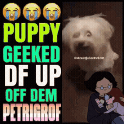 A Poster That Says Puppy Geeked Df Up Off Dem Petrigrof GIF