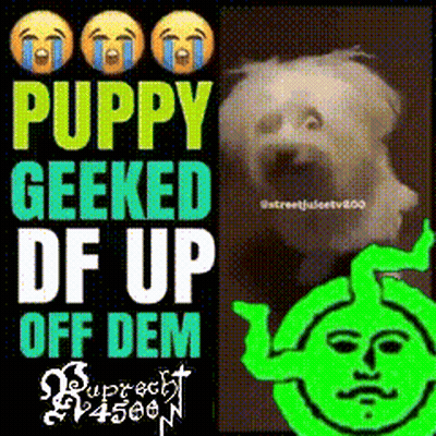 A Poster That Says Puppy Geeked Df Up Off Dem With A Picture Of A Dog And Shrek GIF