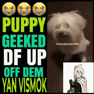 A Poster That Says Puppy Geeked Df Up Off Dem Yan Vismok On It GIF