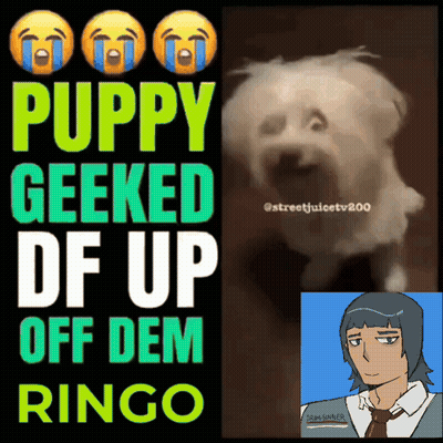 A Poster That Says Puppy Geeked Off Dem Ringo GIF