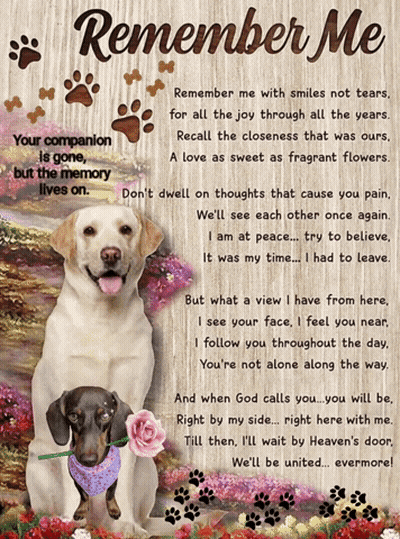 A Poster That Says Remember Me With Two Dogs On It GIF