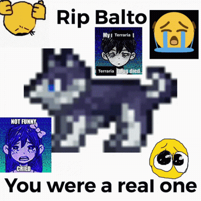 A Poster That Says Rip Balto You Were A Real One On It GIF