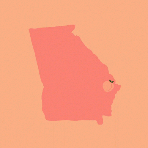 A Poster That Says Rural Black Georgian Voters Matter On An Orange Background GIF