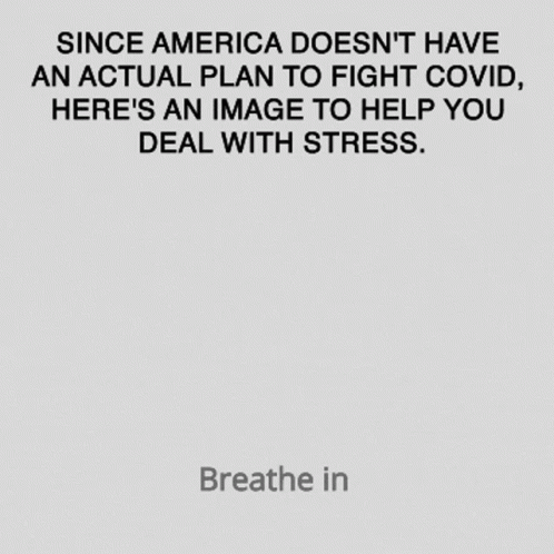 A Poster That Says " Since America Does N't Have An Actual Plan To Fight Covid " On It GIF