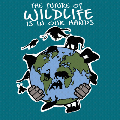 A Poster That Says " The Future Of Wildlife Is In Our Hands " On It GIF