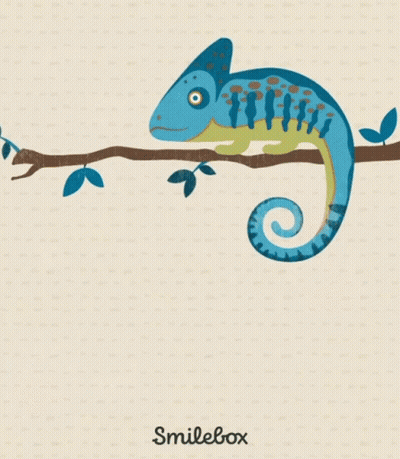 A Poster That Says There Are A Chameleon Reasons Why With A Chameleon On A Branch GIF