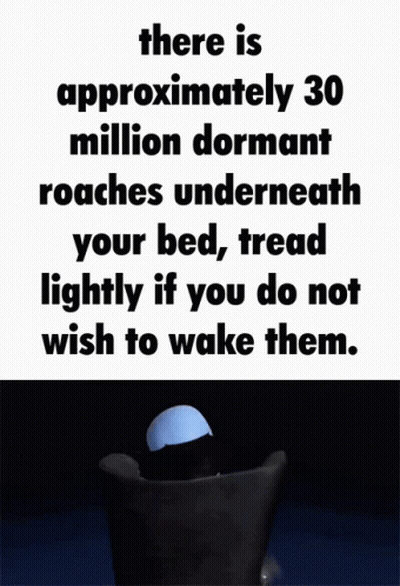 A Poster That Says There Is Approximately 30 Million Dormant Roaches Underneath Your Bed Tread Lightly GIF