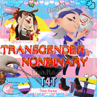 A Poster That Says Transgender Nonbinary T4t On It GIF