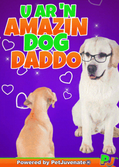 a poster that says u ar n amazin dog daddo on it