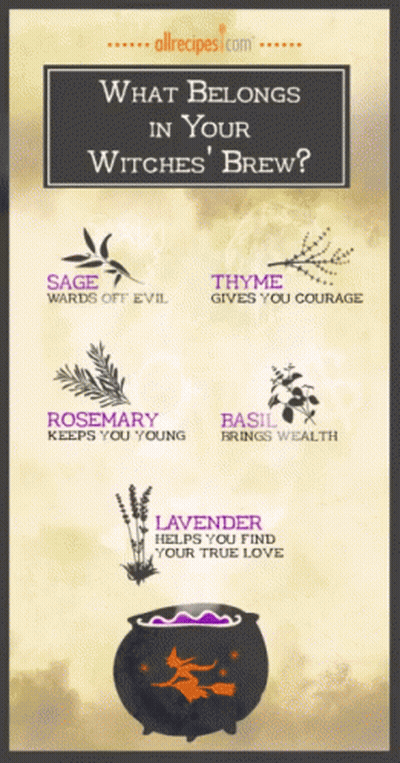 A Poster That Says What Belongs In Your Witches Brew On It GIF