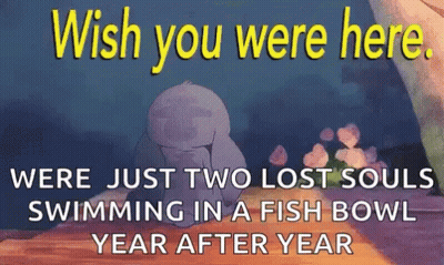 A Poster That Says Wish You Were Here Were Just Two Lost Souls Swimming In A Fish Bowl A Year After Year GIF