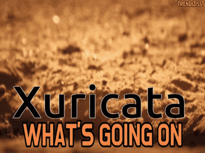 A Poster That Says Xuricata What 'S Going On In Orange Letters GIF