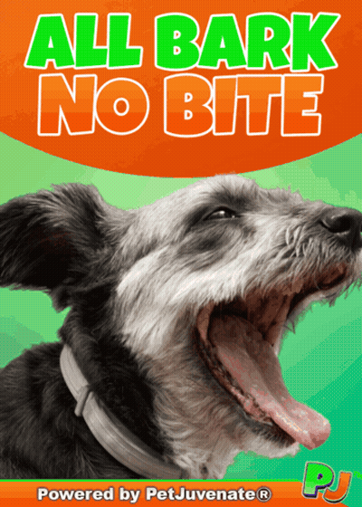 A Poster With A Dog And The Words All Bark No Bite On It GIF