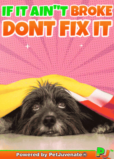 A Poster With A Dog And The Words If It Ain 'T Broke Don 'T Fix It GIF
