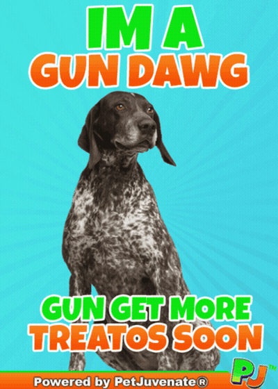 A Poster With A Dog On It That Says " Im A Gun Dawg " GIF