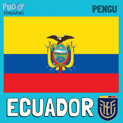 A Poster With A Flag And The Word Ecuador Under It GIF