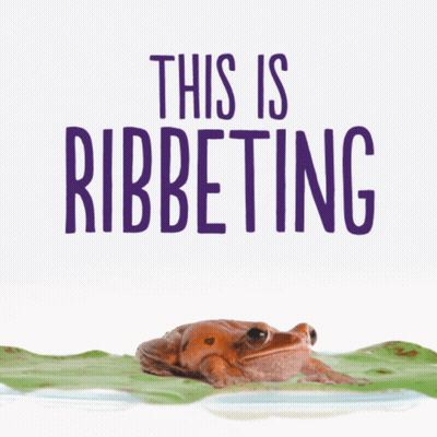 A Poster With A Frog And The Words This Is Ribbeting On It GIF