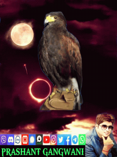 A Poster With An Eagle And The Name Prashant Gangwani On It GIF