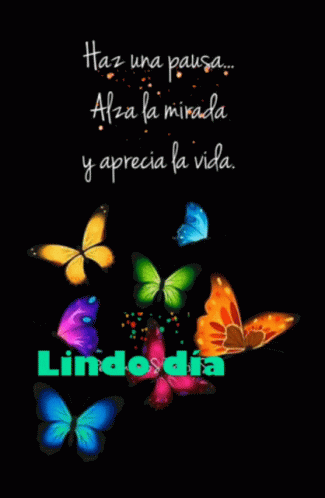 A Poster With Butterflies And The Words Haz Una Pausa GIF