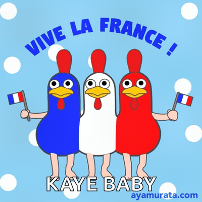 A Poster With Three Chickens Holding French Flags Says Vive La France Kaye Baby GIF