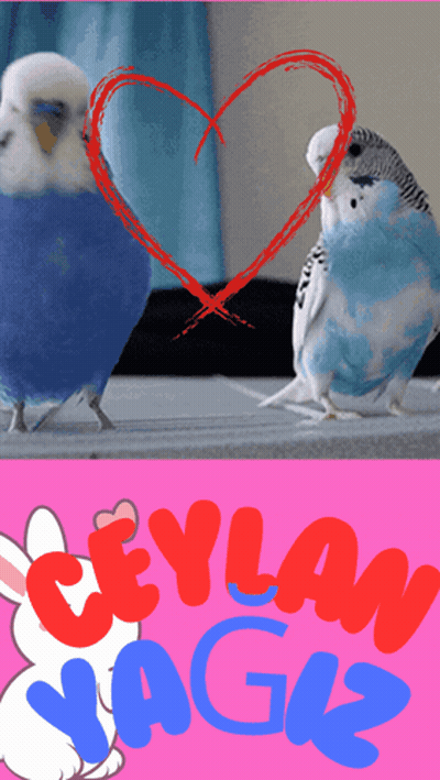 A Poster With Two Birds And The Words Ceylan Yag12 GIF