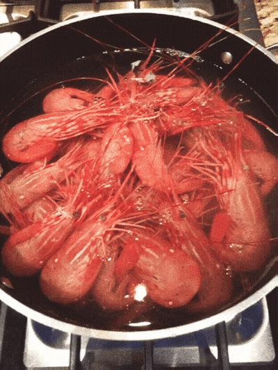 A Pot Of Shrimp Is Cooking On A Stove Top GIF
