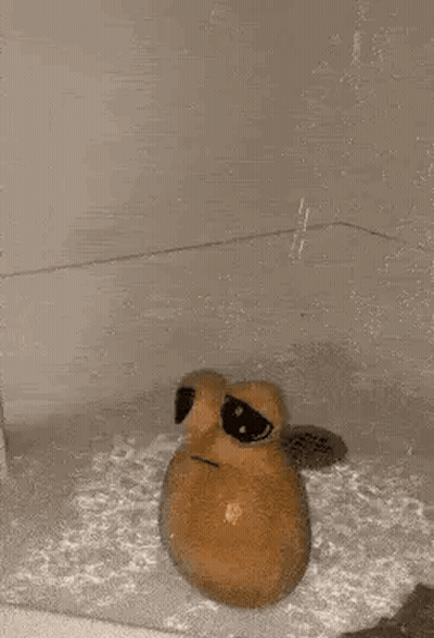 A Potato Is Sitting In A Bathtub With Water Coming Out Of The Drain . GIF