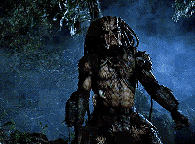 A Predator Is Standing In A Dark Forest GIF