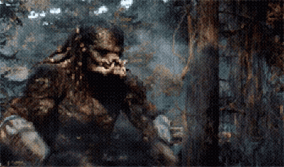 A Predator Is Standing In The Woods Looking At Something GIF