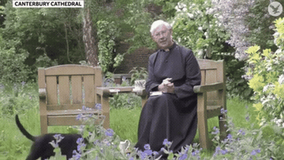 A Priest Is Sitting On A Bench In A Garden With A Cup Of Tea And A Dog . GIF
