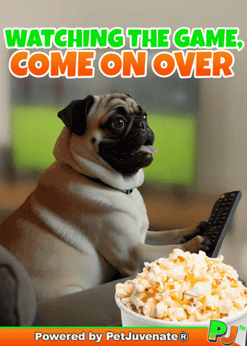 A Pug Dog Holding A Remote Control Next To A Bowl Of Popcorn GIF