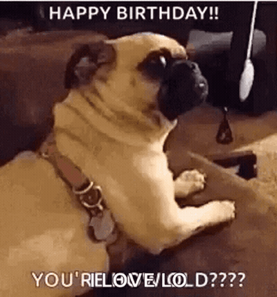A Pug Dog Is Laying Down On A Couch And Looking Up At The Camera . GIF