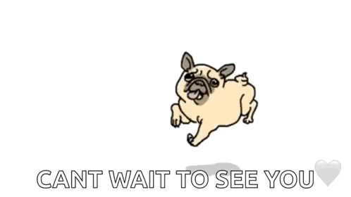 A Pug Dog Is Running With The Words Cant Wait To See You Written Below It GIF