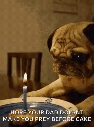 A Pug Dog Is Sitting At A Table With A Lit Candle In Front Of Him . GIF