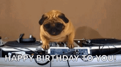 A Pug Dog Is Sitting On Top Of A Turntable And Says `` Happy Birthday To You '' . GIF