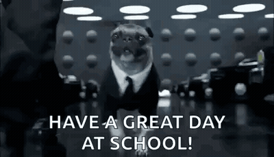 A Pug Dog Is Wearing A Suit And Tie And Is Walking In A Room . GIF