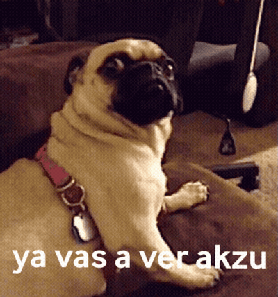 A Pug Dog Laying On A Couch With The Words Ya Vas A Ver Akzu Written Above It GIF