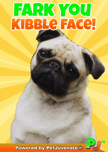 A Pug Dog On A Yellow Background With The Words " Fark You Kibble Face " Above It GIF