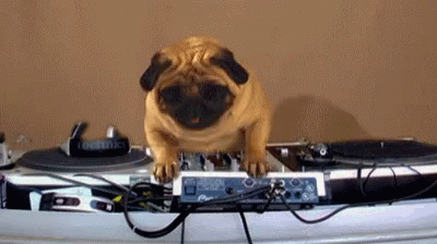 A Pug Dog Sitting On Top Of A Dj Mixer GIF